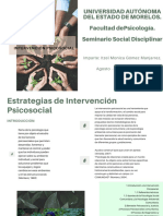 Estrategias de Intervención Psicosocial