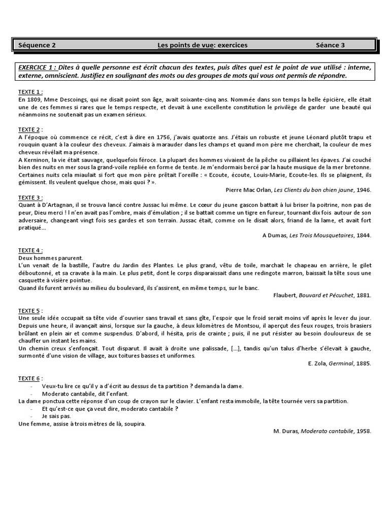 Séance 3 - Exercices Les Points de Vue - Focalisation | PDF