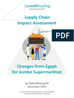 Impact Assessment Citrus Egypt Jumbo ImpactBuying