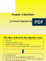 Chapter 3 Nutrition: 3.3 Human Digestive System