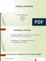 Anatomical Positions: DR. Syeda AMNA Iqbal Lecturer Kinesiology Icpr