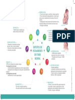 Infográfico - Defeito Tubo Neural - Alta