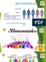 A1-1 Estructura Anatómica Del Ser Humano