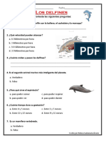 Delfin Infographica Preguntas