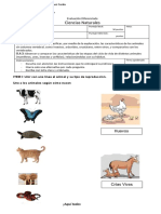 Evaluación Diferenciada Ciencias