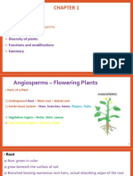 Angiosperms - Parts and Functions