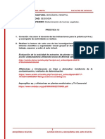 Semana 13 Práctica.