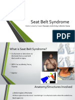 Seat Belt Syndrome PTH 630 Anatomy and Phys