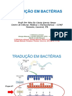 Tradução em bactérias