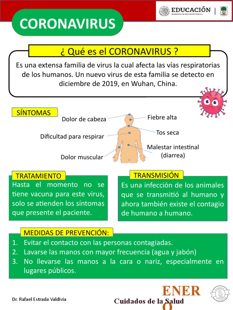 Infografía CORONAVIRUS | PDF