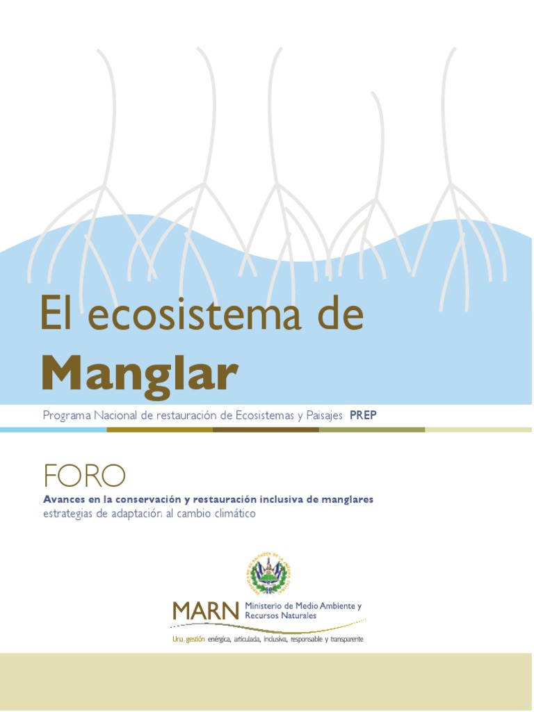 Memoria Foro de Manglares 2013. | PDF | Deforestación | Mangle