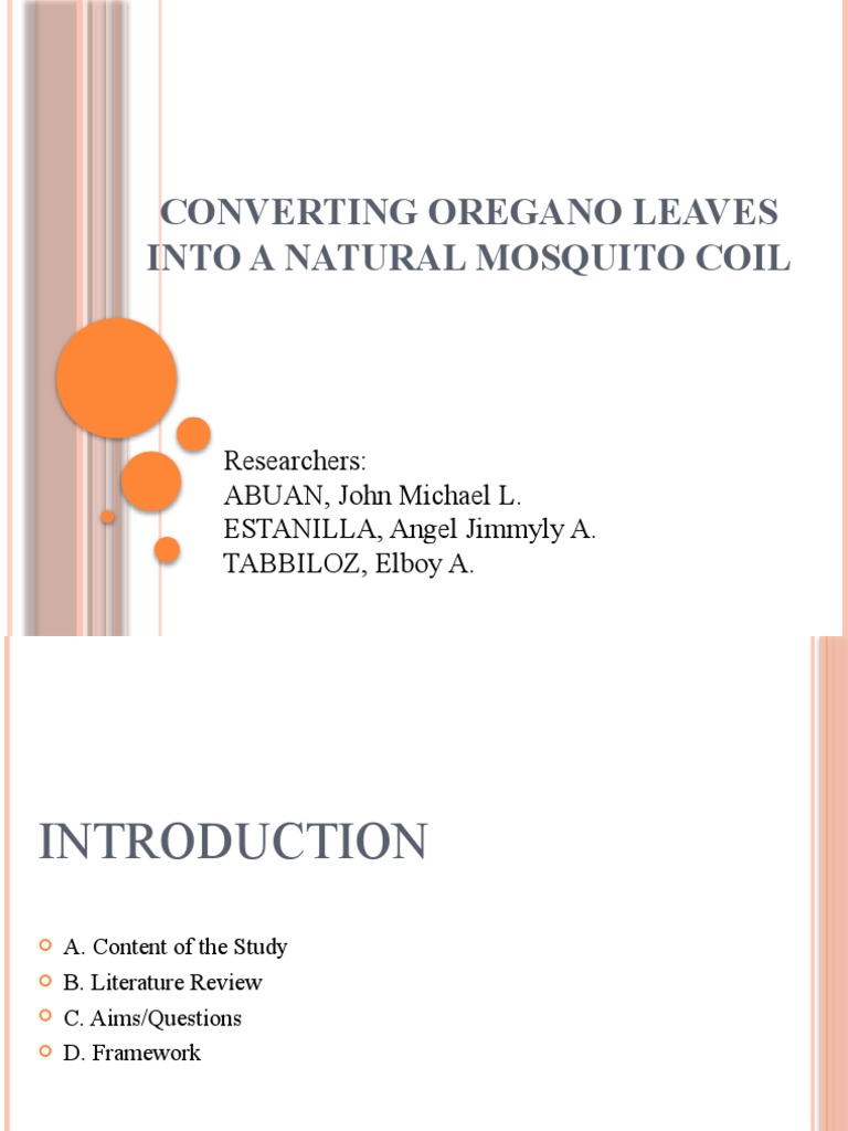 Converting Oregano Leaves Into A Natural Mosquito Coil PDF Mosquito