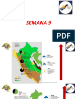 Semana 9 Ident