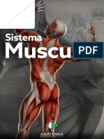06 - Sistema Muscular