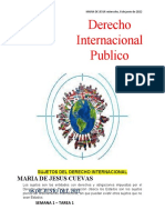 Derecho Internacional Público 
