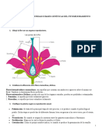 Guia de Trabajo #2