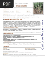 FIT_Canne_a_sucre_2014
