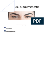 Taller Cejas Semipermanente Guia Maiglis Seijas