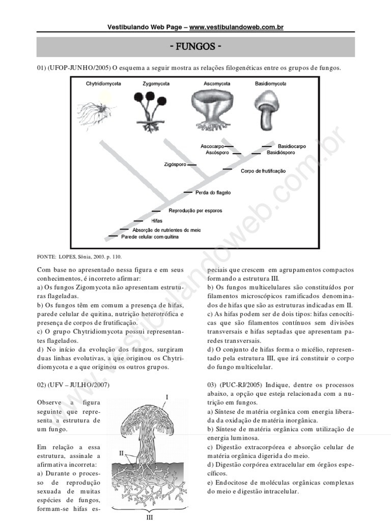 fungos | Fungo | Algas | Avaliação gratuita de 30 dias | Scribd