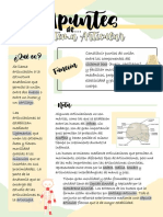 Sistema Articular