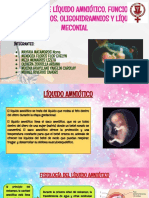 Formación de Líquido Amniótico, Funciones