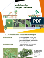 Bab 1 Pertumbuhan Dan Perkembangan Tumbu