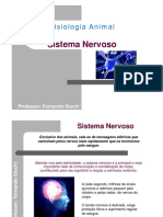 Sistema nervoso e os tipos de neurônios