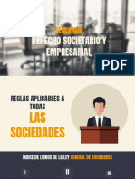 Seminario 3 - Reglas Aplicables A Todas Las Sociedades