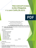 Avances Sobre La Implentacion Del Modelo Del Cuidado Integral en Saslud Sexual y Reproductica en Una Ipress Actualizado