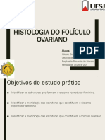 Apresentação Embriologia