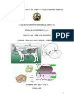 Fisiología digestiva rumiantes