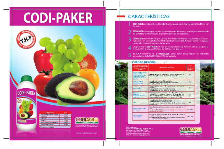 Codi-Paker Folleto Ok | PDF