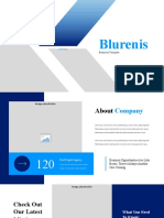 Blurenis Presentation