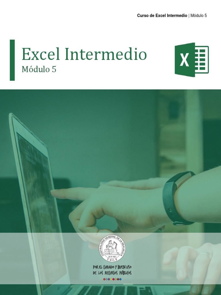 Modulo 5 | PDF | Microsoft Excel | Hoja de cálculo