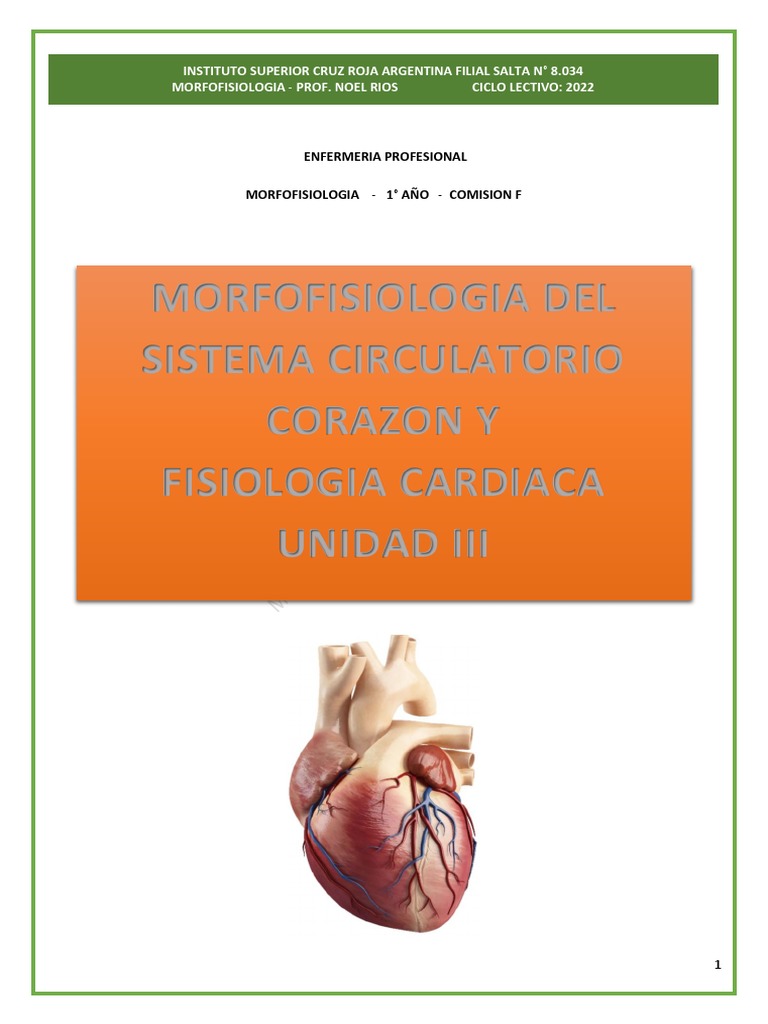 Estructura Del Corazon Pdf Sistema Circulatorio Vena