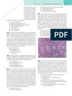 C H A P T E R 1 3 Hematopathology of White Blood Cells 1 8 5