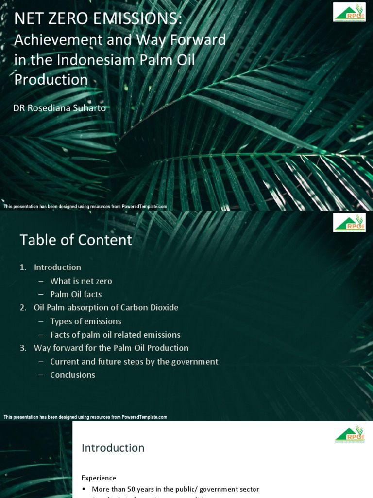 Net Zero Emissions Achievement And Way Forward In The Indonesiam Palm