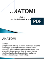 Anatomi_Manusia_ppt