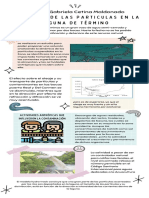 Infografia de La Contaminacion en La Laguna de Terminos