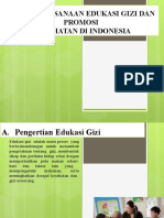 Pelaksanaan Edukasi Gizi Dan Promosi Gizi Di Indonesia