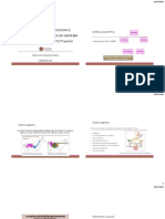 PDF Aula Farmaco e Terapêutica Do Sistema Digestivo (1 Parte)