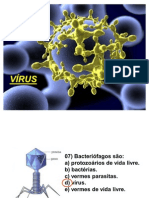 Aula 4 Vírus e Reino Monera