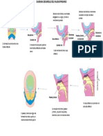 1borrador Diagrama PP