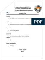 Feminización de trucha arco iris mediante tratamiento hormonal