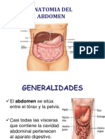 Anatomia Del Abdomen Ok
