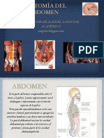 Anatomia Basica Del Abdomen