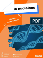 Acidos Nucleicos