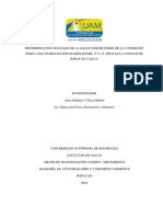 Determinantes Sociales Salud Predictores Condición Física Saludable Escolares 12 18 Años Ciudad Popayán Cauca