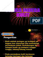 Panca Indera Kulit D3 TK I 2019.2020-1