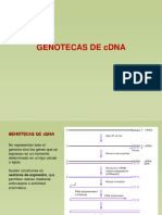 7-Vectores de Clonacion 2